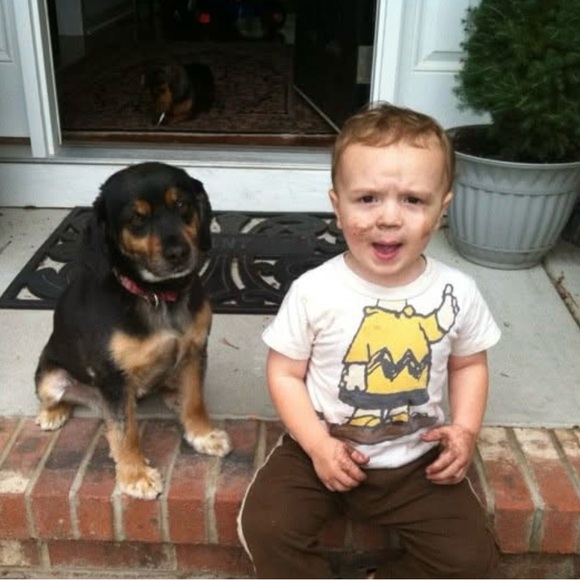 Meet your Posher, Stacy - Picture 1 of 1